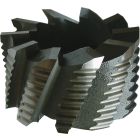 10573-3805036.jpg